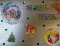 Толстиков Максим 13 лет, Свердловская область, г. Каменск-Уральский