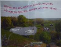 Цыбулина Дарья,15 лет,Воронежская обл.Кантемировский р-он, с. Волоконовка, ул. Школьная, 1-А. МОУ СОШ Волоконовская