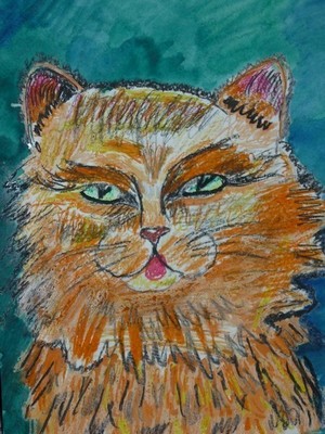 Любимый кот