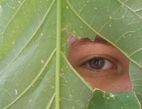 Шишаева Анна, 15 лет, Барнаул