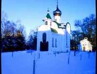 Колесова Дарья 15 лет, Краснодарский край, Тимашевский район, г.Тимашевск